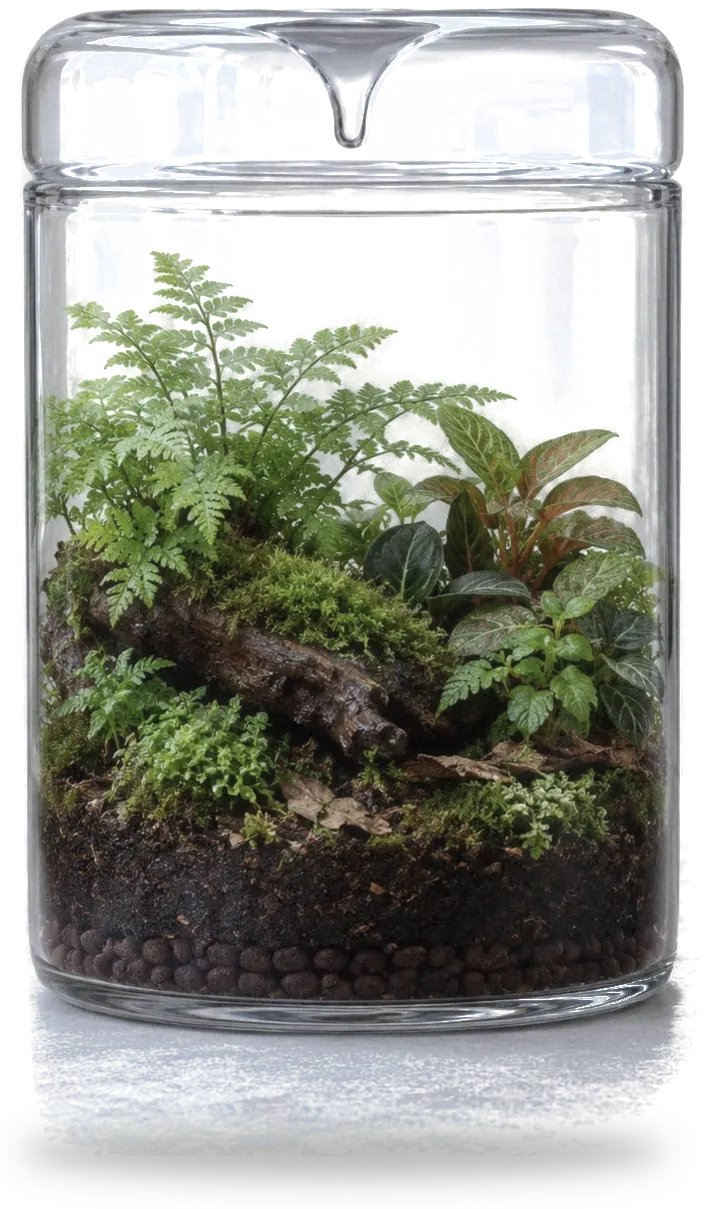 Biome XL terrarium