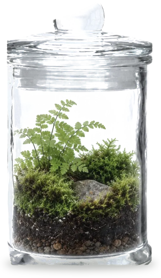 Classic Small terrarium
