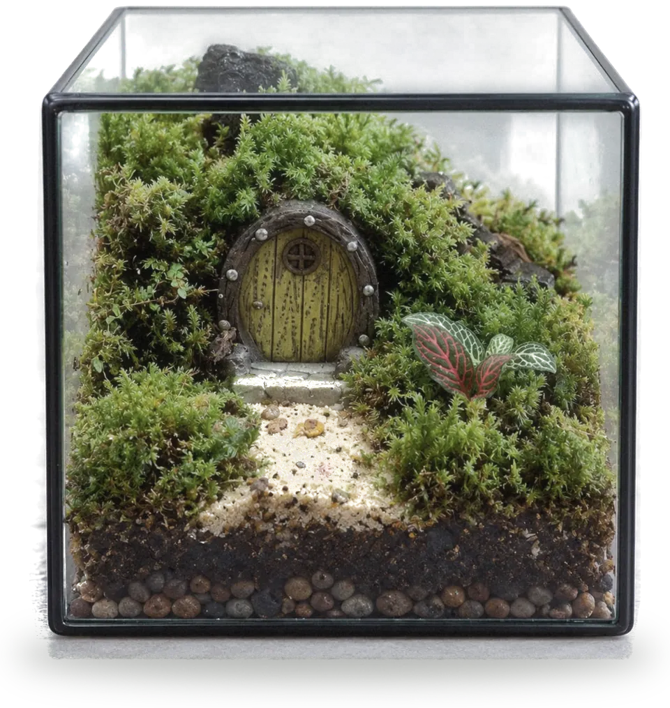 Cube terrarium