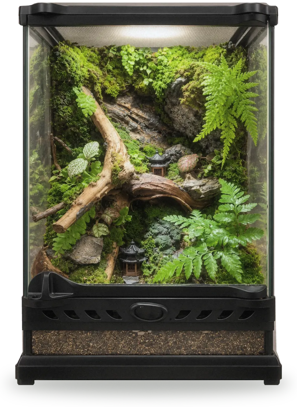 Habitat terrarium