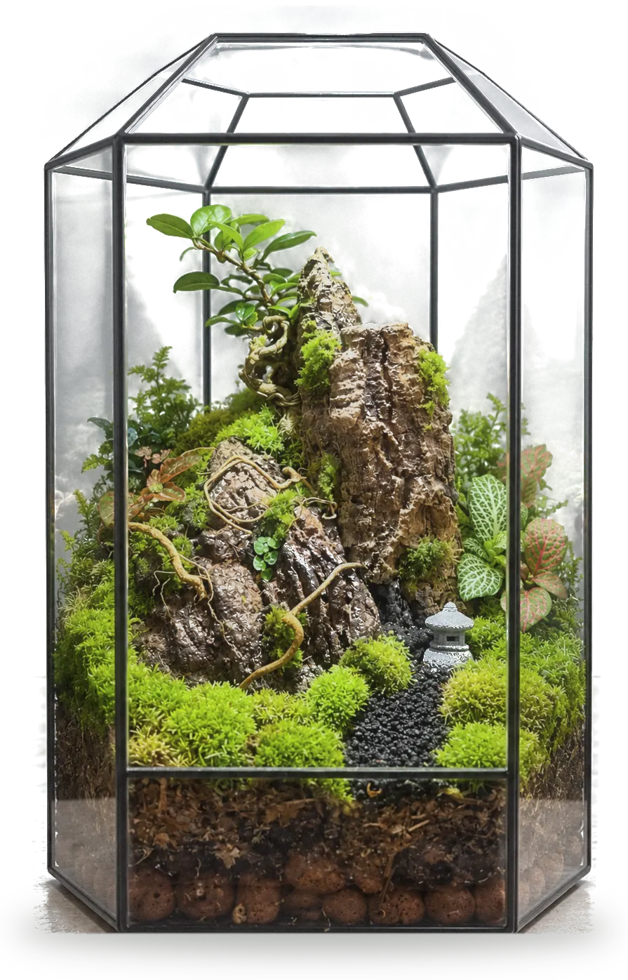 Octagon terrarium