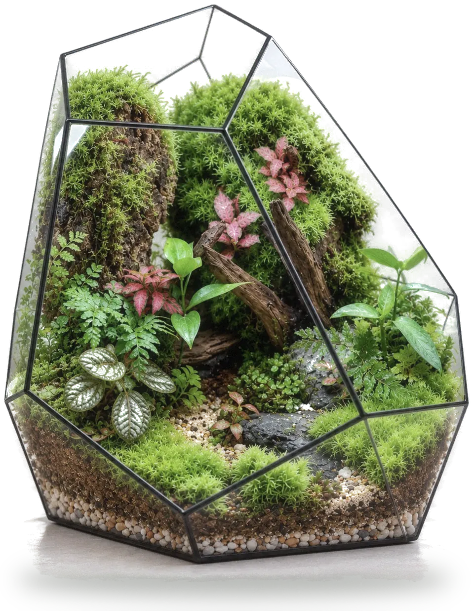 Stone terrarium