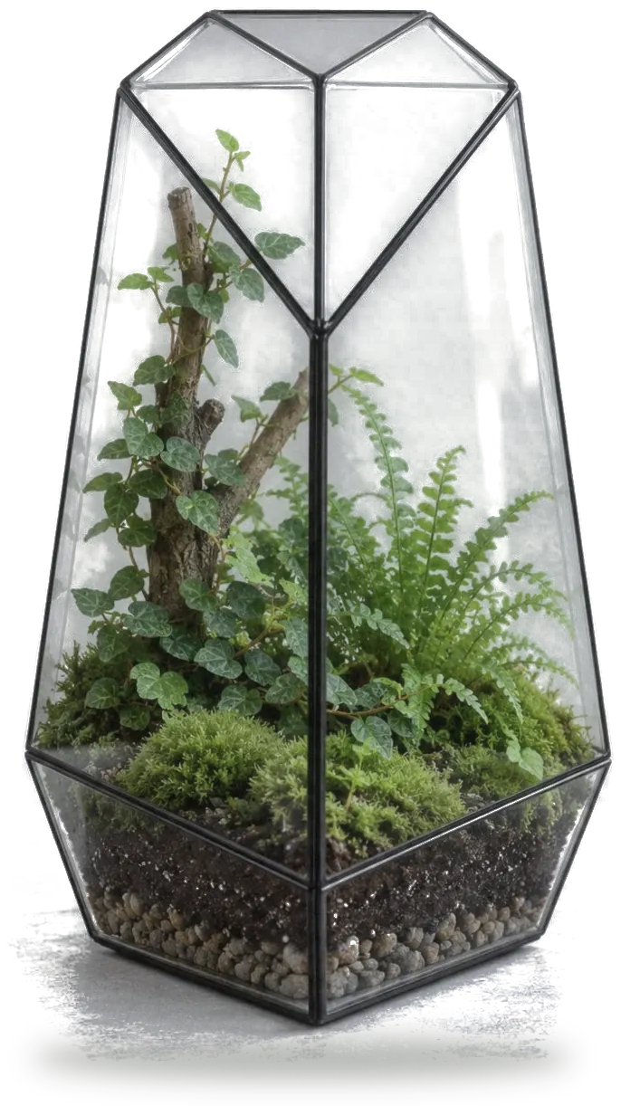 Vertex terrarium