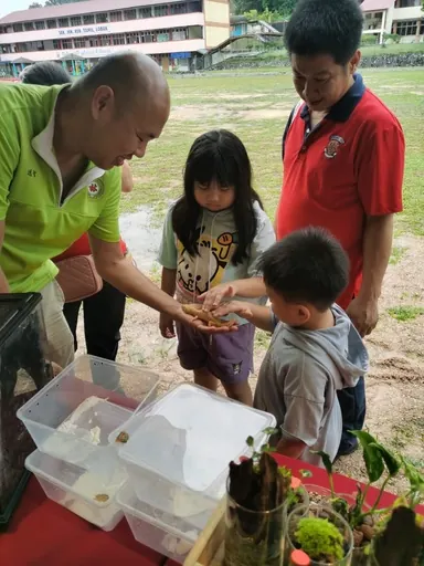 A family building terrariums outdoors