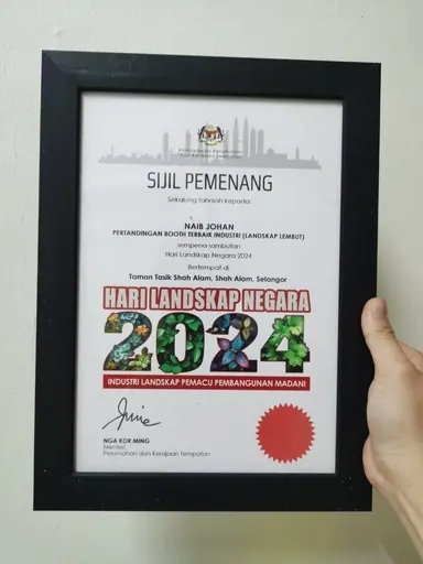A framed certificate from 2024