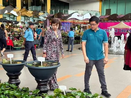 Visitors at a plant market