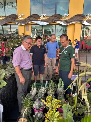A group with plants at a market
