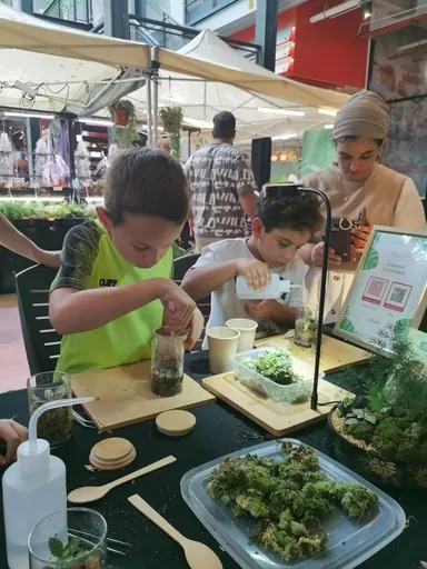 A child building a terrarium