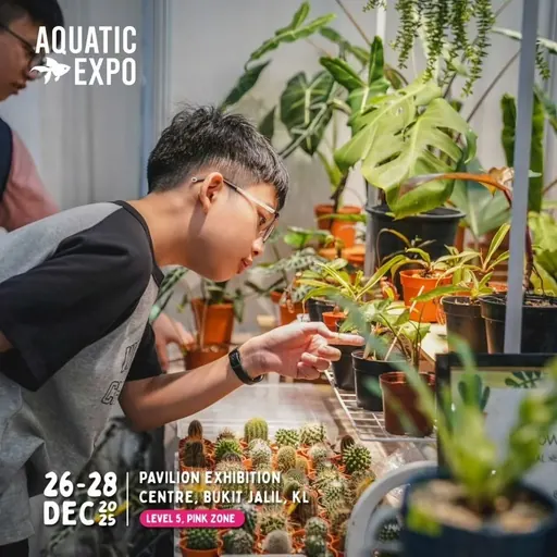 Our plants at an aquatic expo