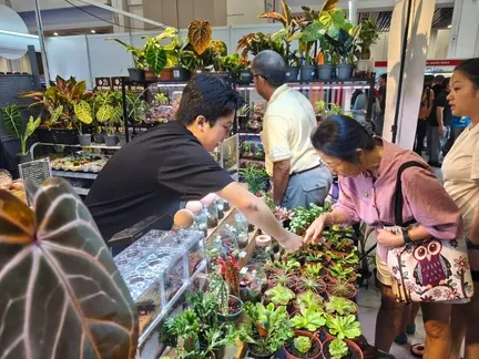 A plant market with visitors