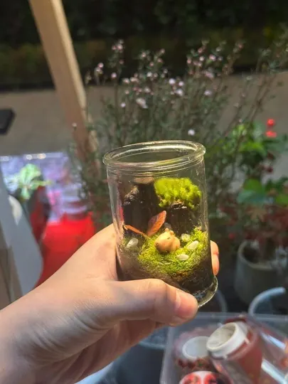 A small terrarium jar held in one hand