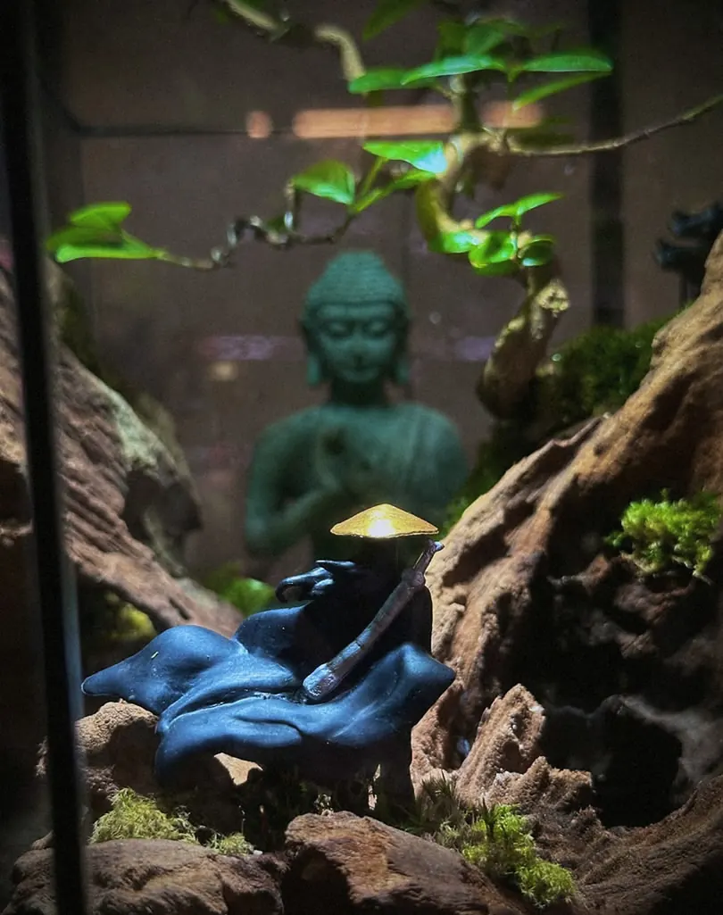 A small figure sheltered under moss and fern