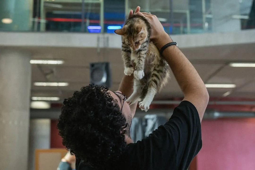 A kitten held up at one of our events